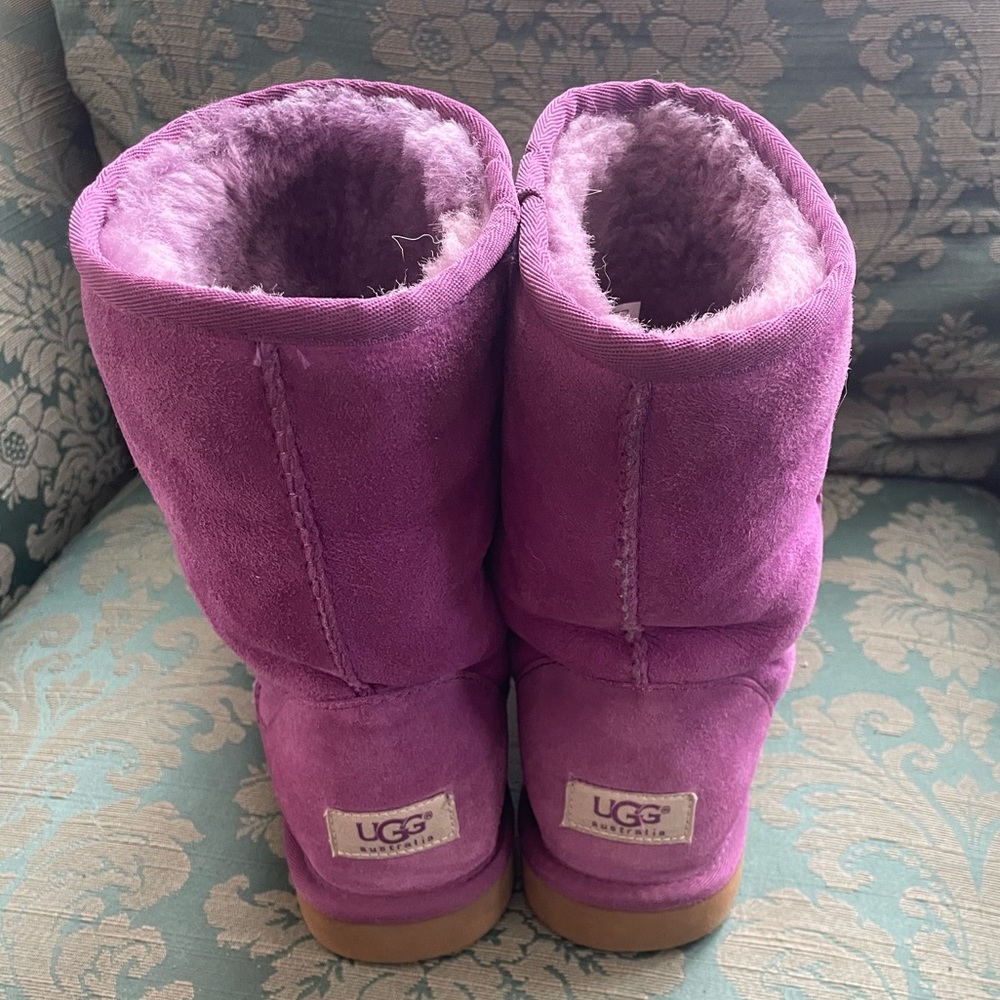 Short classic Ugg boots